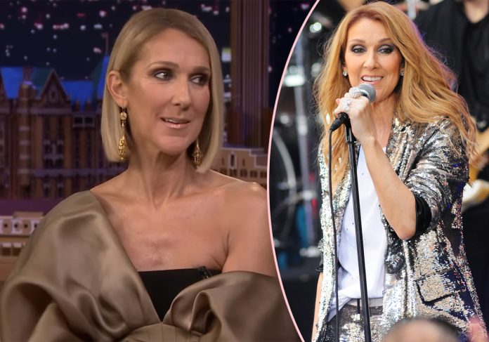 Céline Dion Says She's 'Determined’ To Get Back Onstage ‘One Day’ Amid Stiff Person Syndrome Battle!