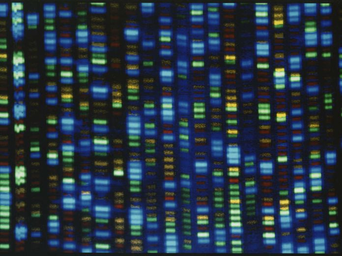 NIH's 'All of Us' project aims to make genomic research more inclusive : Shots