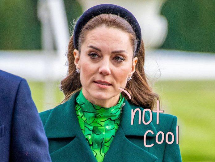 OMG! People Are Literally Trying To Hack Into Princess Catherine's Medical Records!