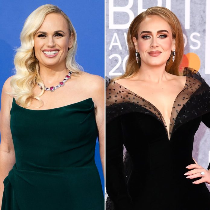 Rebel Wilson Thinks Adele Hates Her Because ‘People Would Confuse Us’